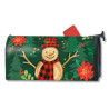 Picture of mailwrap showing design